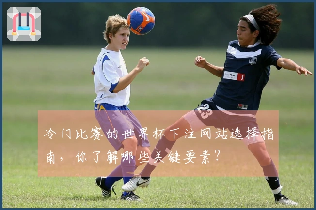 冷门比赛的世界杯下注网站选择指南,你了解哪些关键要素?