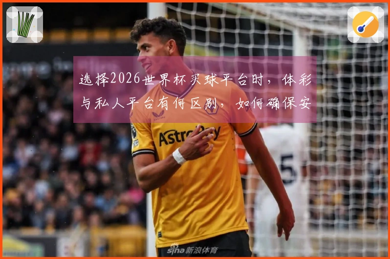 选择2026世界杯买球平台时，体彩与私人平台有何区别，如何确保安全合规？