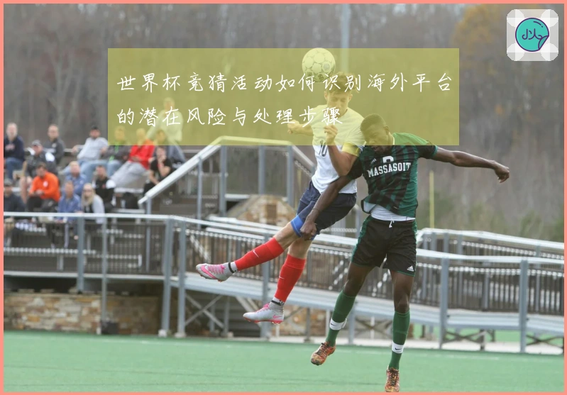 世界杯竞猜活动如何识别海外平台的潜在风险与处理步骤