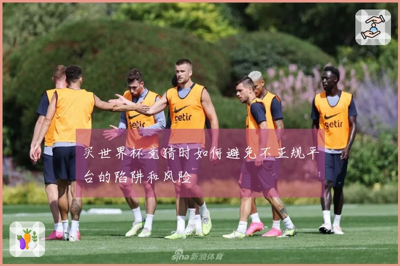 买世界杯竞猜时如何避免不正规平台的陷阱和风险