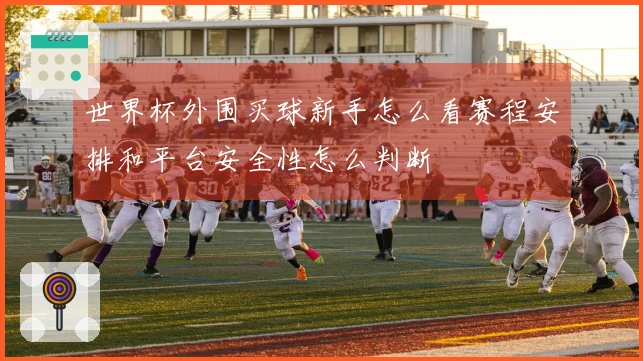 世界杯外围买球新手怎么看赛程安排和平台安全性怎么判断