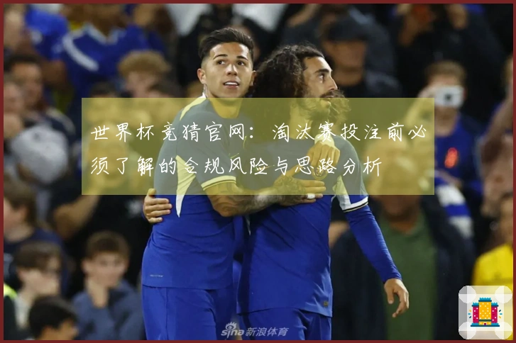 世界杯竞猜官网：淘汰赛投注前必须了解的合规风险与思路分析