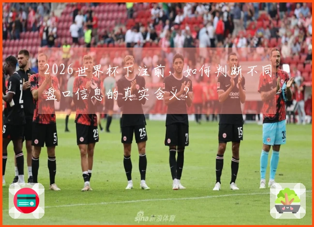 2026世界杯下注前，如何判断不同盘口信息的真实含义？