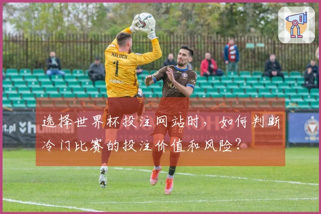 选择世界杯投注网站时，如何判断冷门比赛的投注价值和风险？