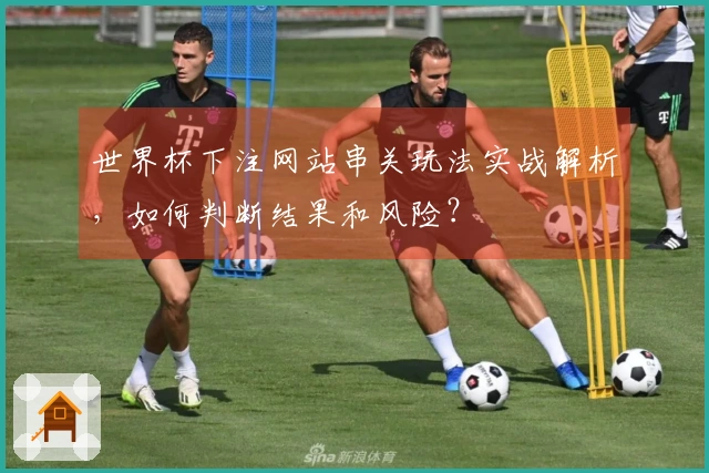 世界杯下注网站串关玩法实战解析，如何判断结果和风险？