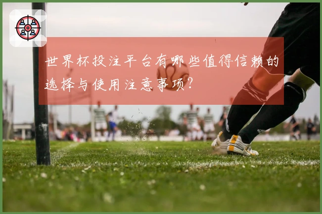 世界杯投注平台有哪些值得信赖的选择与使用注意事项？