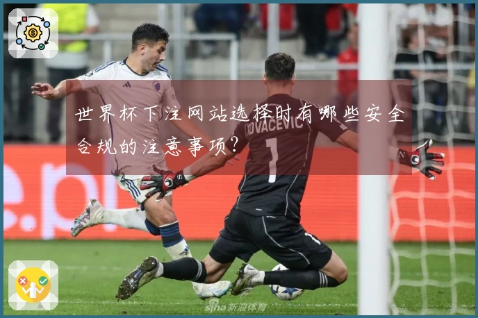 世界杯下注网站选择时有哪些安全合规的注意事项？