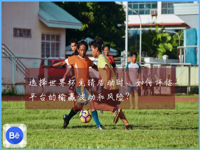 选择世界杯竞猜活动时，如何评估平台的输赢波动和风险？