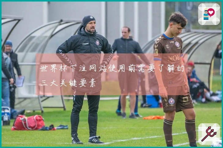 世界杯下注网站使用前需要了解的三大关键要素