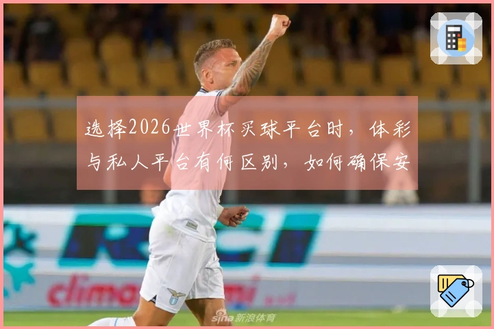 选择2026世界杯买球平台时，体彩与私人平台有何区别，如何确保安全合规？