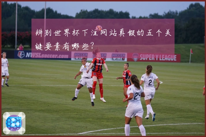 辨别世界杯下注网站真假的五个关键要素有哪些？
