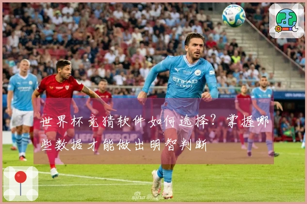 世界杯竞猜软件如何选择？掌握哪些数据才能做出明智判断