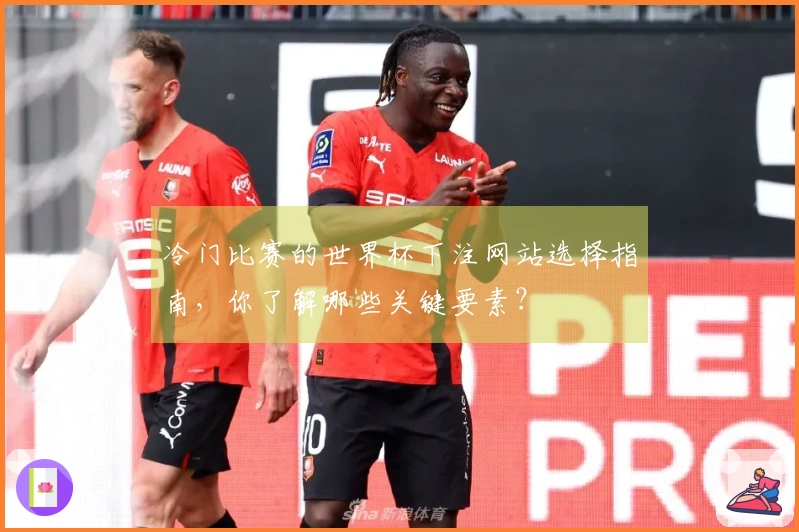 冷门比赛的世界杯下注网站选择指南，你了解哪些关键要素？
