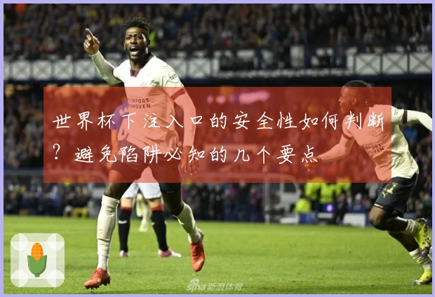 世界杯下注入口的安全性如何判断？避免陷阱必知的几个要点