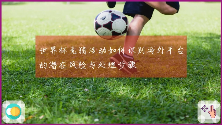 世界杯竞猜活动如何识别海外平台的潜在风险与处理步骤