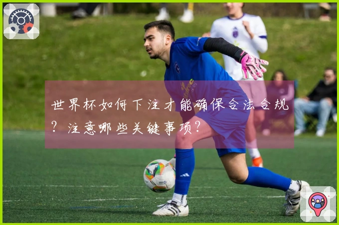 世界杯如何下注才能确保合法合规？注意哪些关键事项？