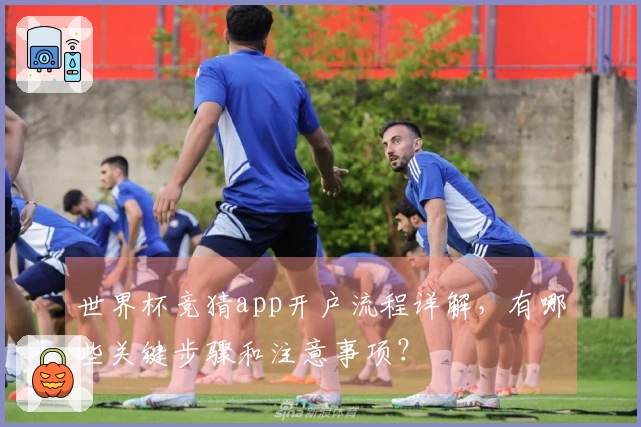 世界杯竞猜app开户流程详解,有哪些关键步骤和注意事项?