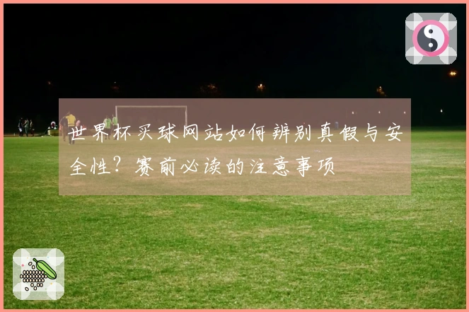 世界杯买球网站如何辨别真假与安全性？赛前必读的注意事项