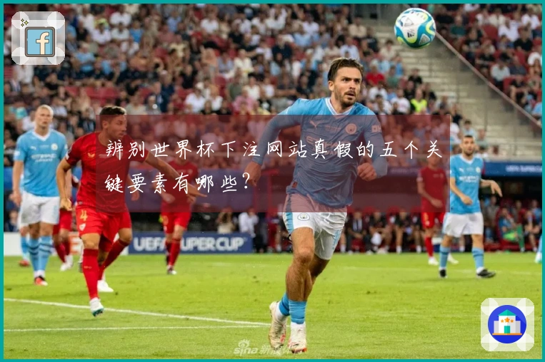 辨别世界杯下注网站真假的五个关键要素有哪些?