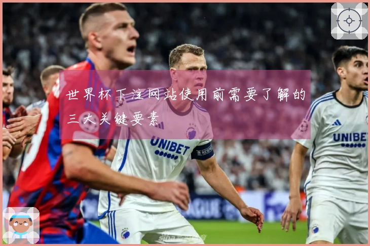 世界杯下注网站使用前需要了解的三大关键要素