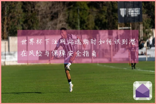 世界杯下注网站选购时如何识别潜在风险与保障安全指南